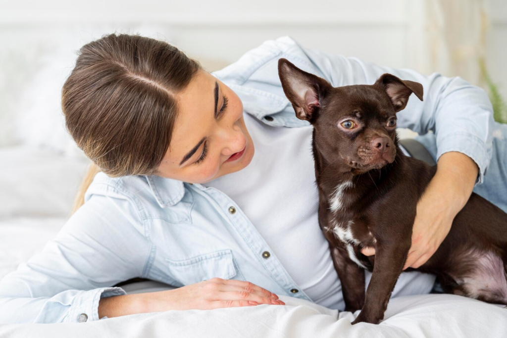 Kedi köpek aşı sonrası dikkat edilmesi gerekilenler