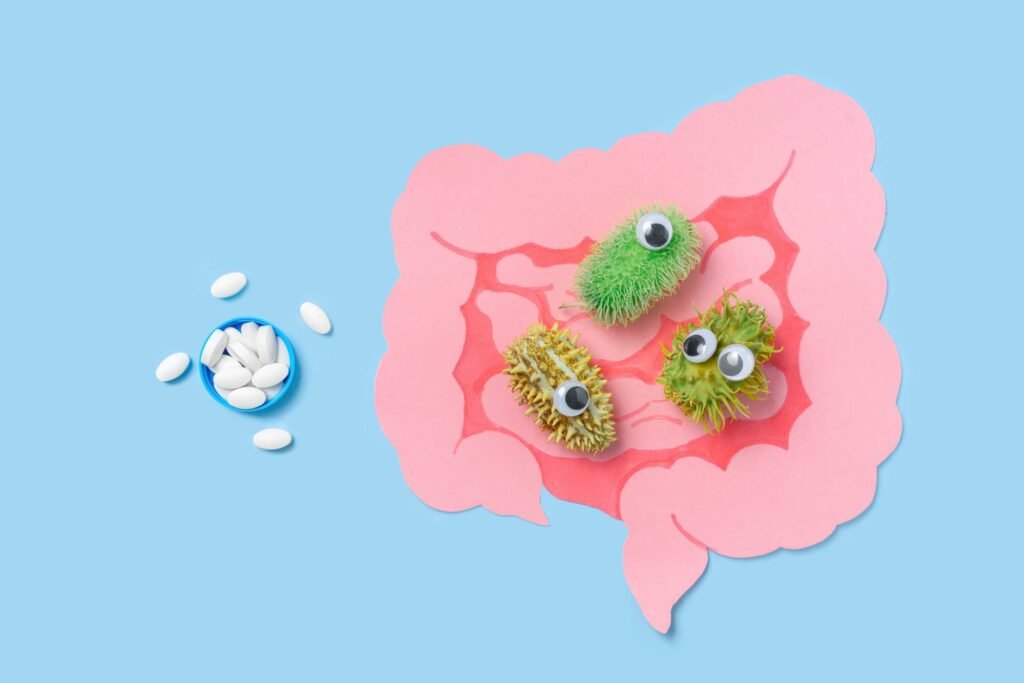 gut biome