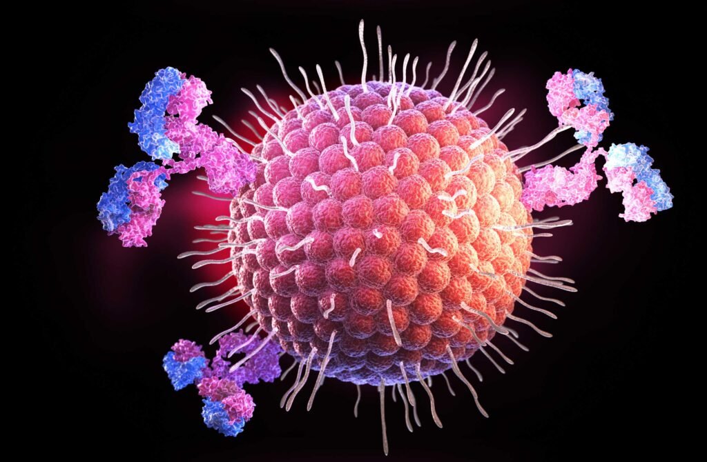 hpv virüsü