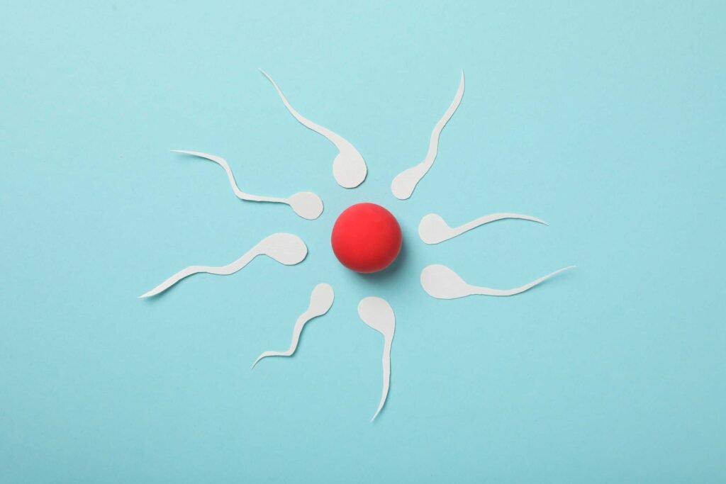 erkek sperm kalitesi
