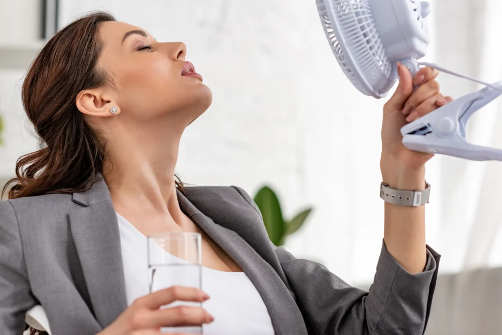 hot flash nedir